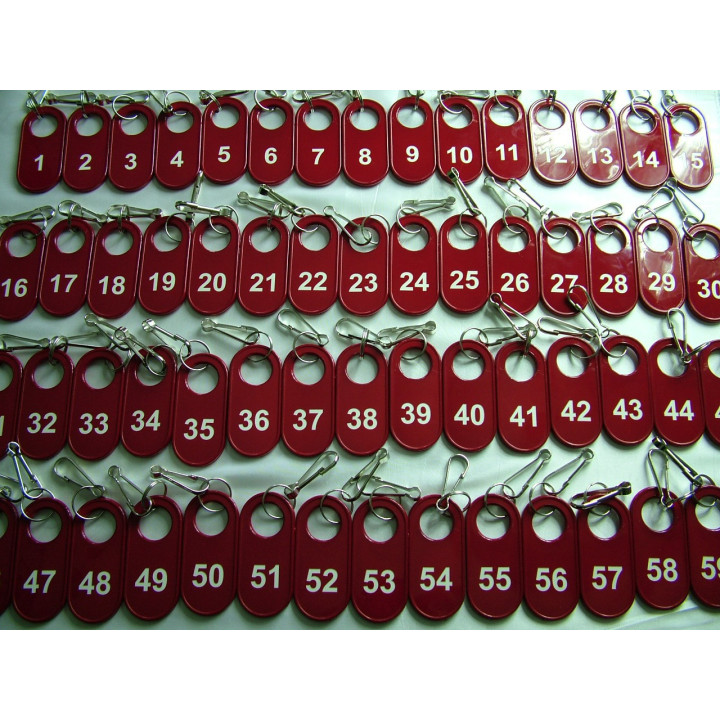 BRELOK PLASTIKOWY DO PRALNI BP-300P (41x89 mm)