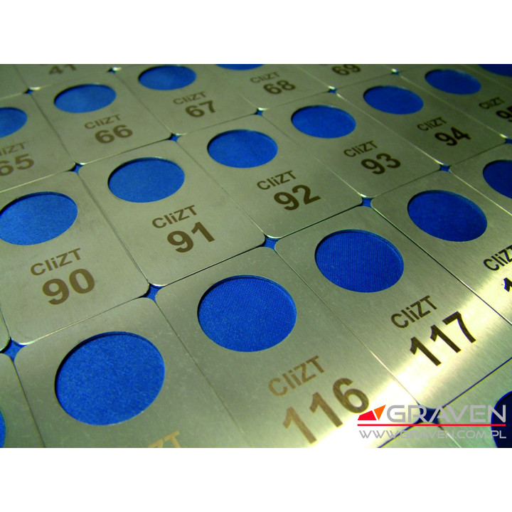 BRELOK STAL NIERDZEWNA (BS-030) 77 x 44 mm