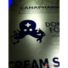 TABLICZKA NA DRZWI T-035 (210 x 297mm)